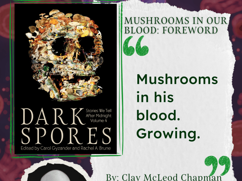 Meet The Author: Clay McLeod&nbsp;Chapman